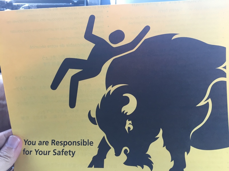You are responsible for your safety