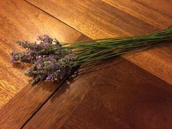 Lavender stems