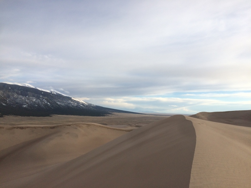 Sand dune ridgeline